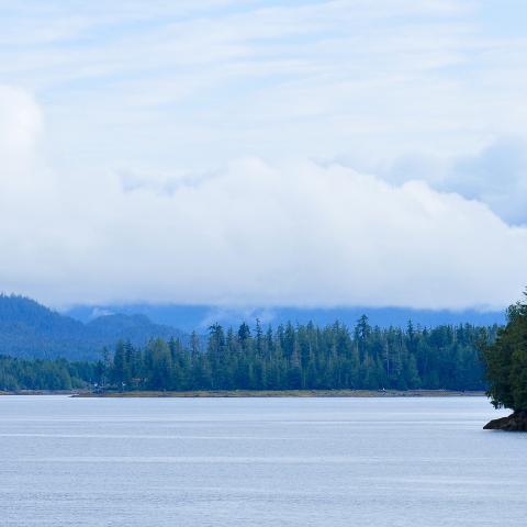 6 Things to Do While Exploring Bella Bella