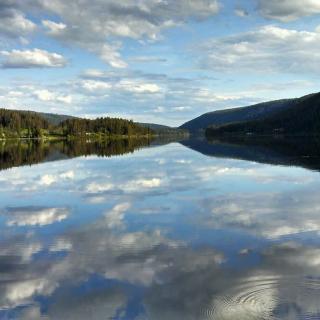 McLeese Lake Resort