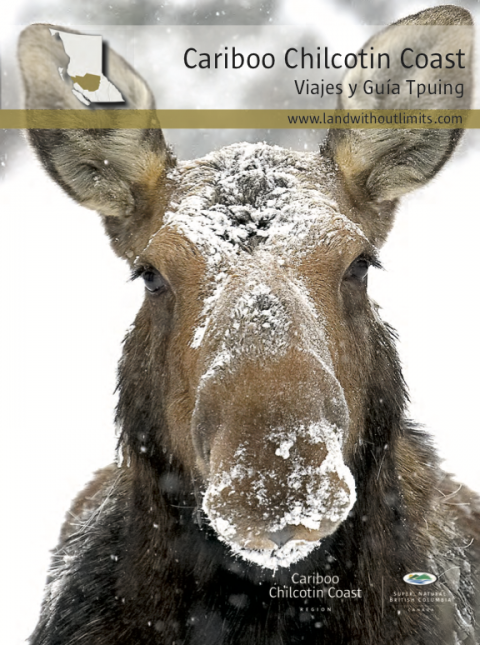 Download Our Regional Guide