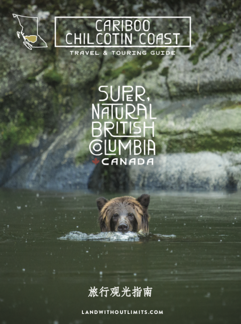 Download Our Regional Guide