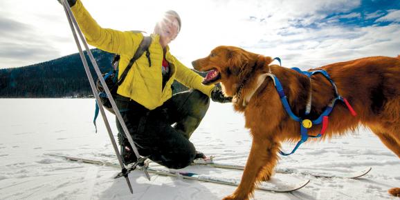 Winter Activities